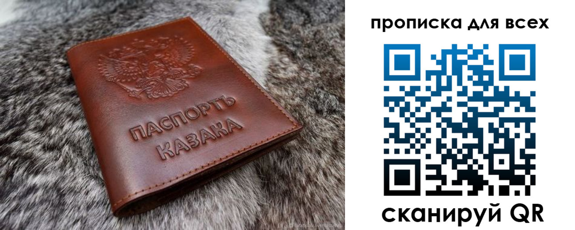 прописка в квартире в Калининграде